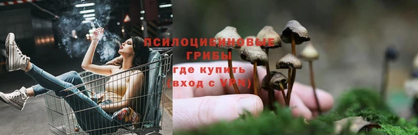 сатива Абдулино